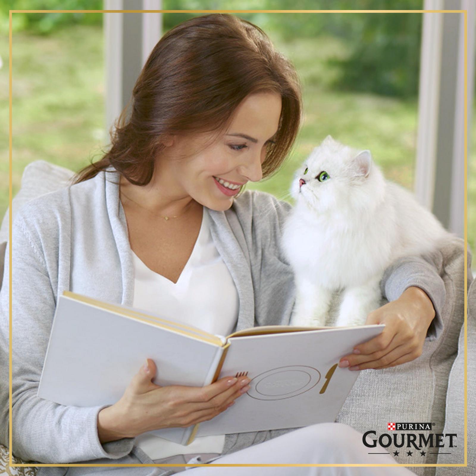 Корм для кошек Гурмэ Мясной тортик курица и говядина 85г - фото 8