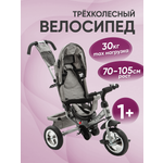 Трехколесный велосипед ZigZag 12 дюймов