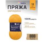 Пряжа Astra Premium Эвридика шерстяная 100 г 200 м 18 горчичный 3 мотка