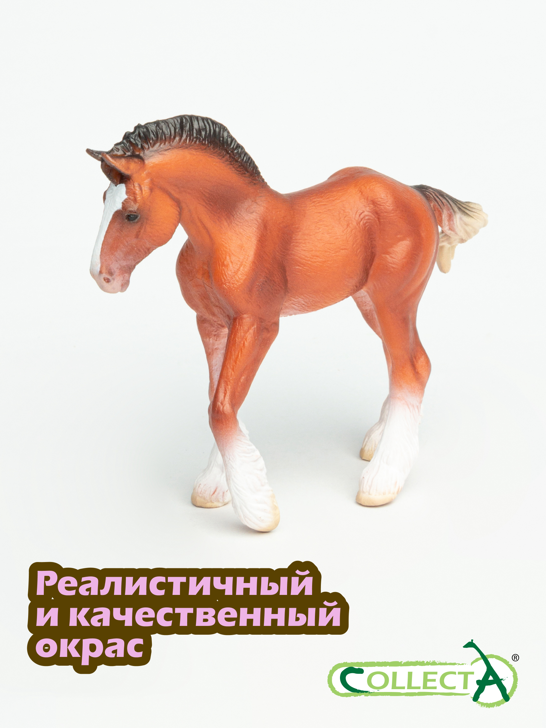 Фигурка Collecta Жеребёнок Клейдесдальский - фото 4
