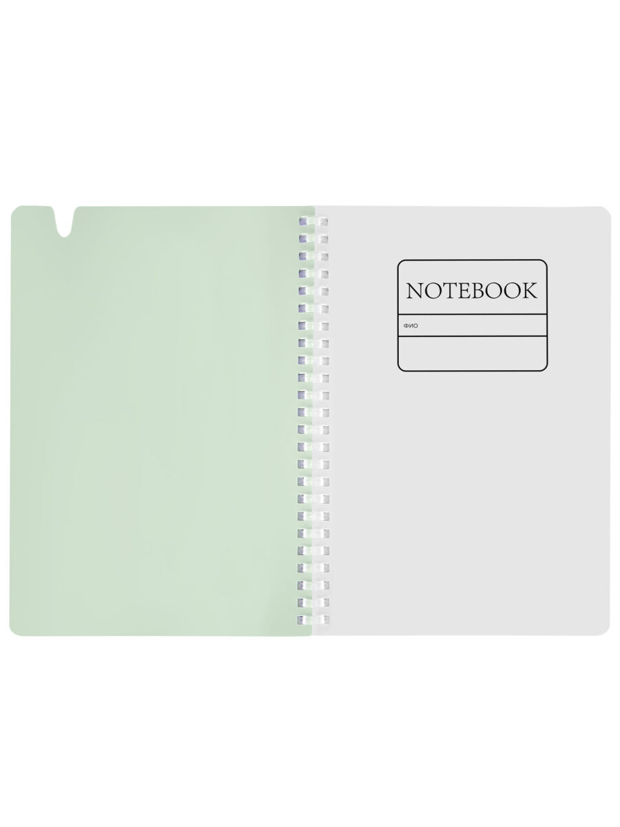 Общая тетрадь Brauberg клетка 80 лист. - фото 5