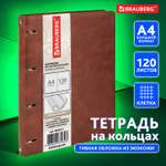 Тетрадь со сменным блоком Brauberg клетка 120 лист.