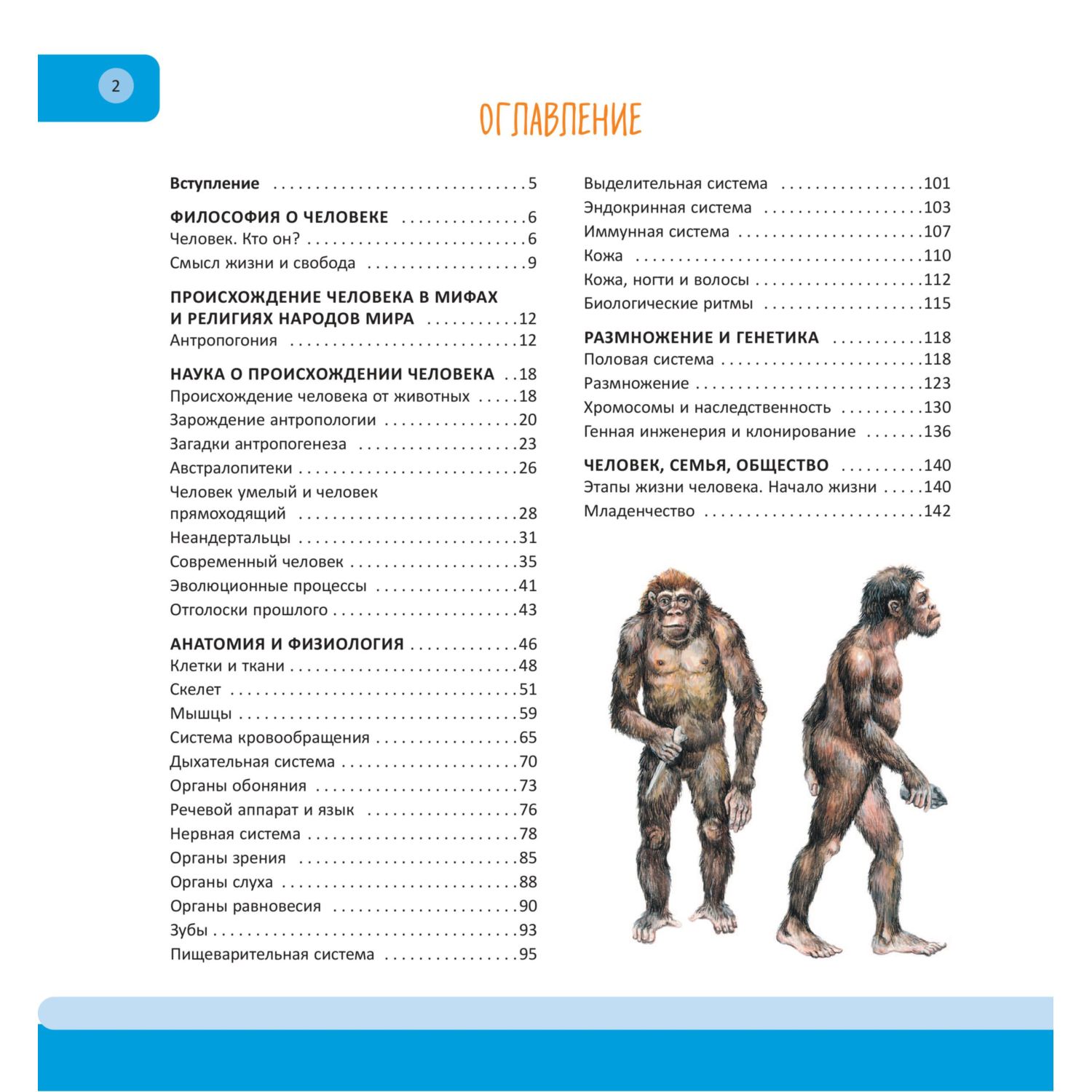 Книга Эксмо Человек полная энциклопедия - фото 2