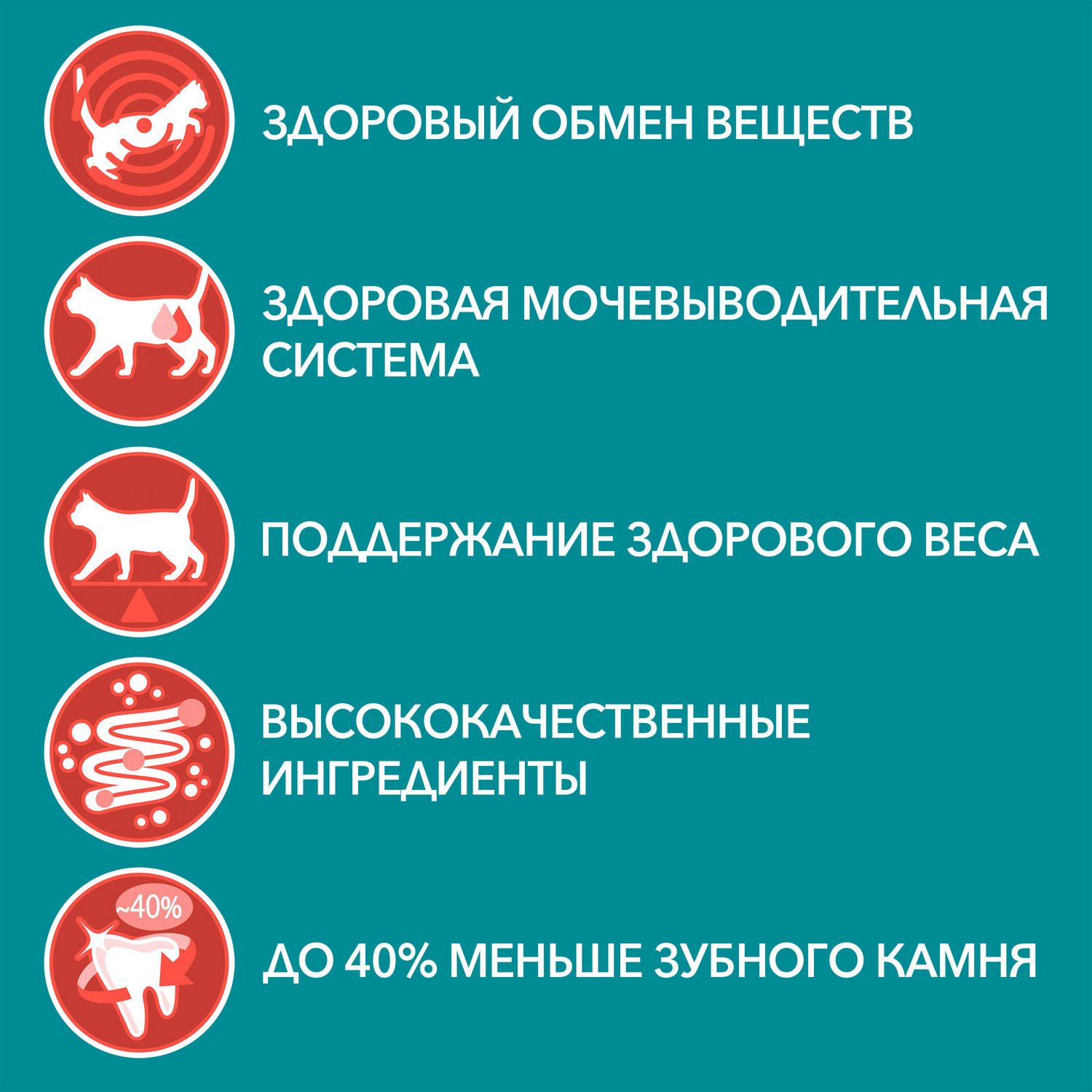 Purina One - фото 3
