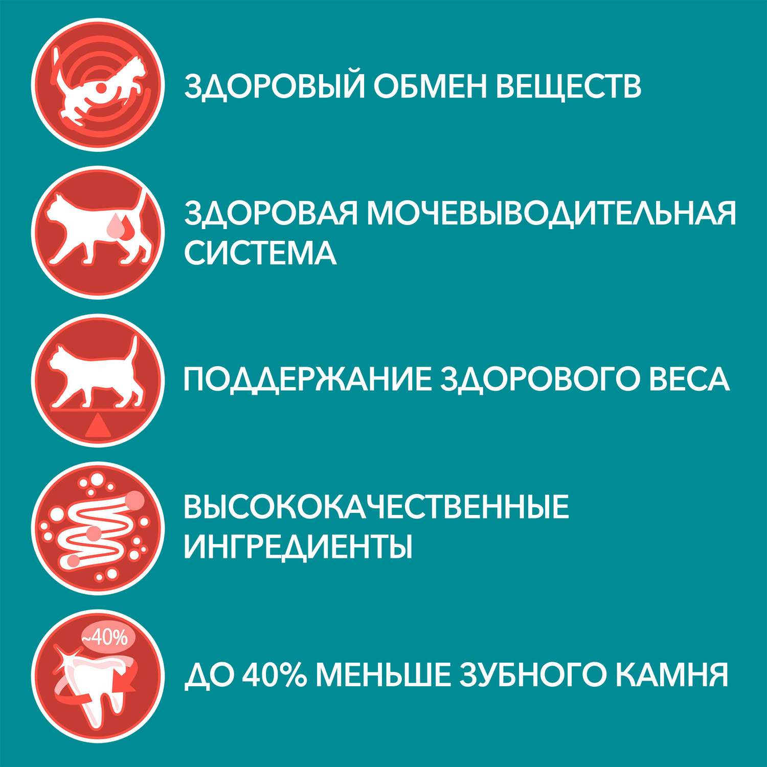 Корм для кошек Purina One стерилизованных курица-зеленая фасоль 75г - фото 3