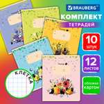 Тетрадь Brauberg клетка 12 лист. 10 шт.