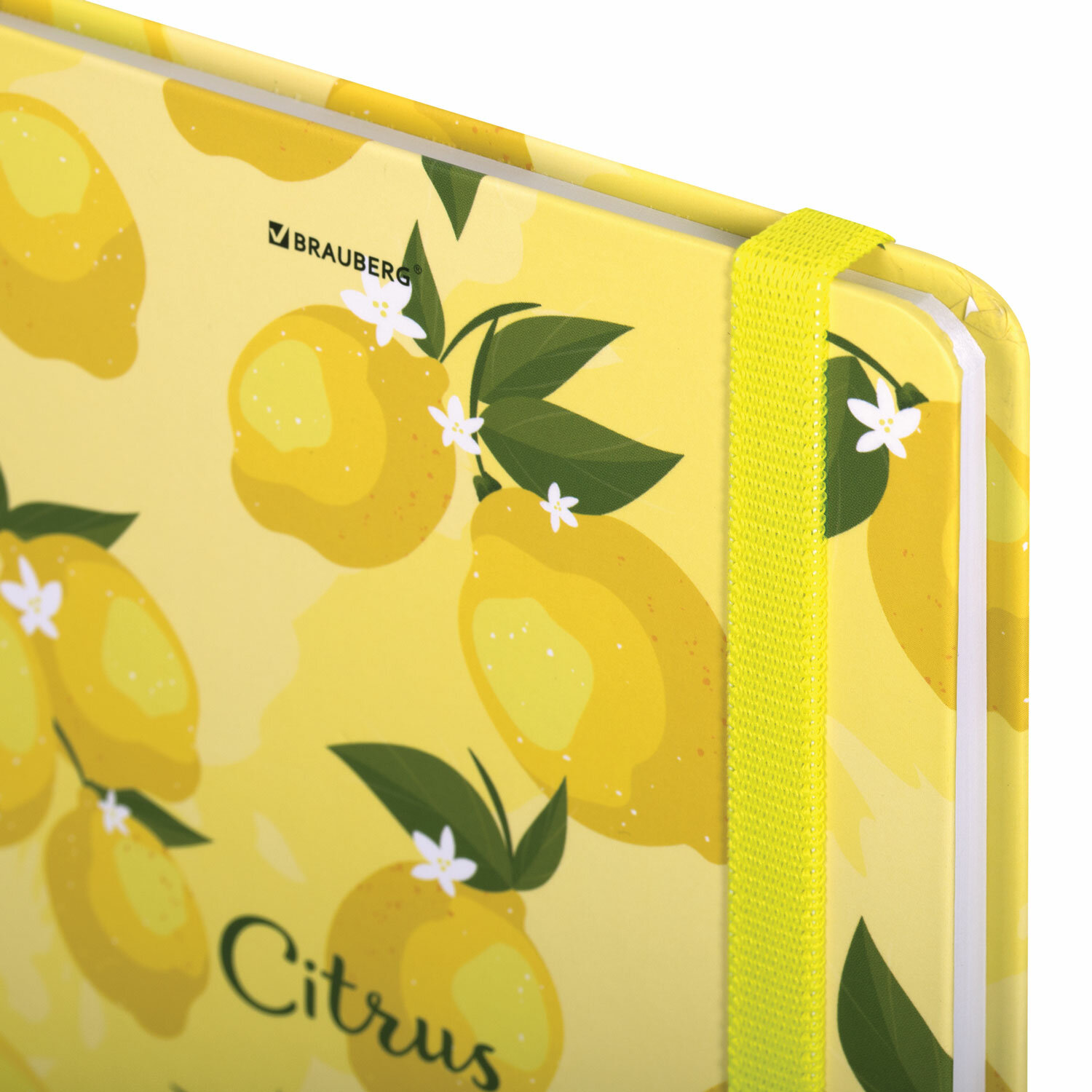 Блокнот Brauberg 96 лист. - фото 6