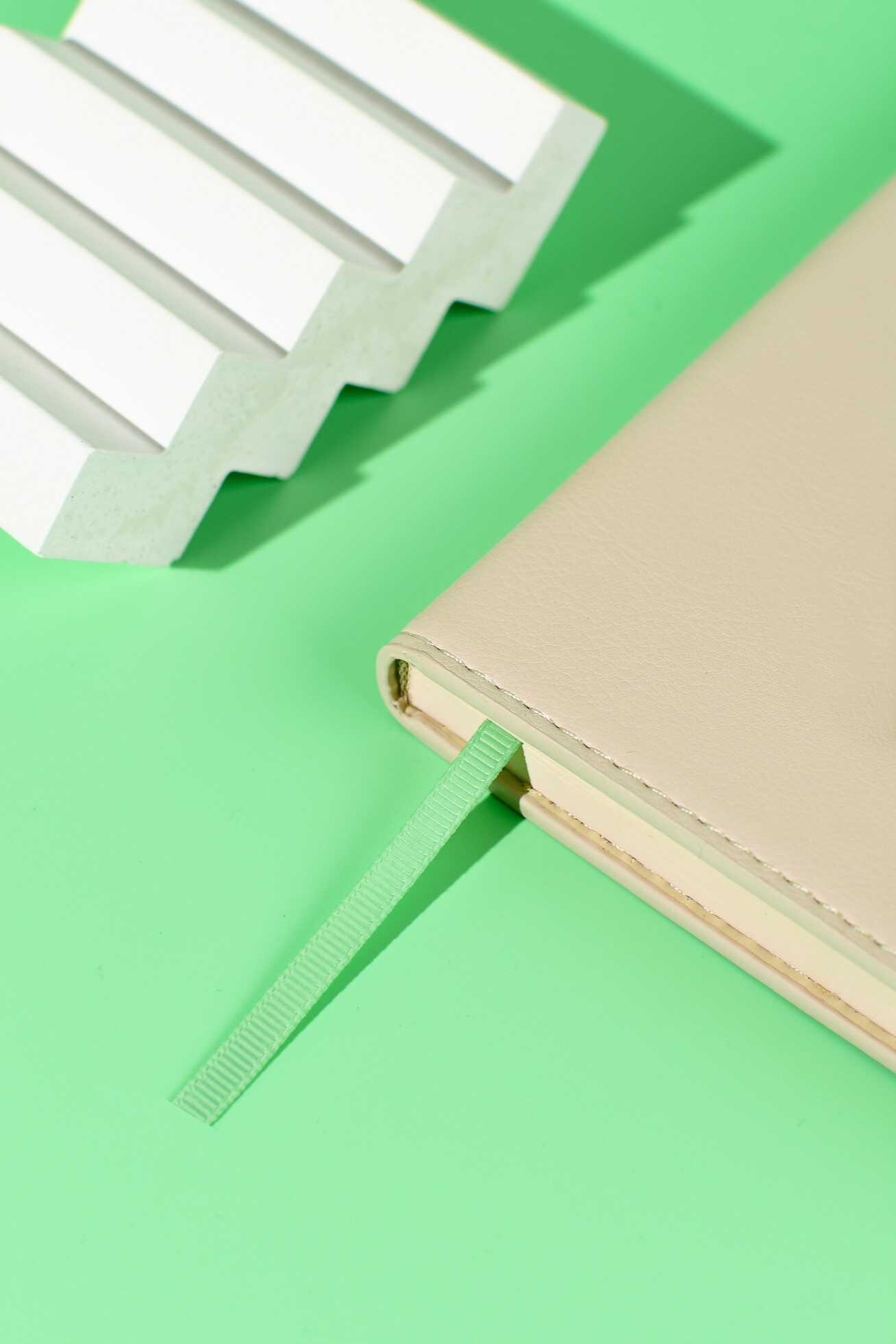 Ежедневник Феникс + ESCALADA 120 лист. - фото 9