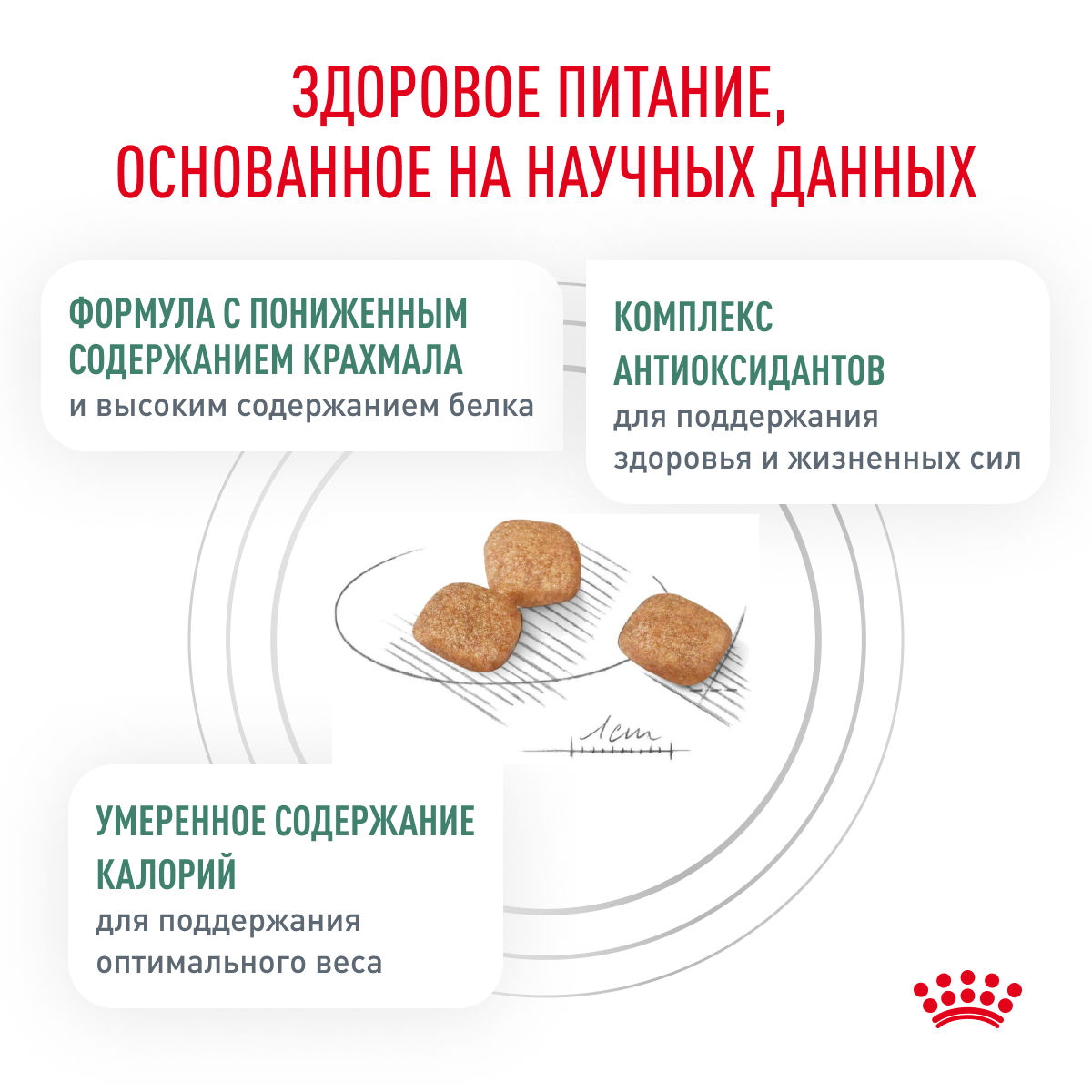 Корм для кошек ROYAL CANIN Diabetic при сахарном диабете 350г - фото 5
