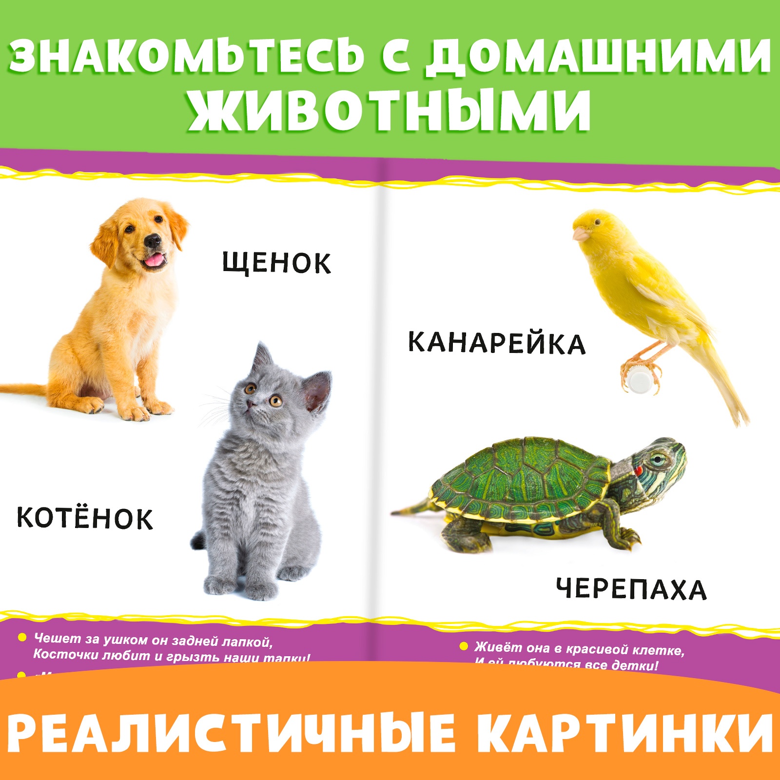Набор картонных книг Буква-ленд «Для самых маленьких» 2 шт. - фото 4