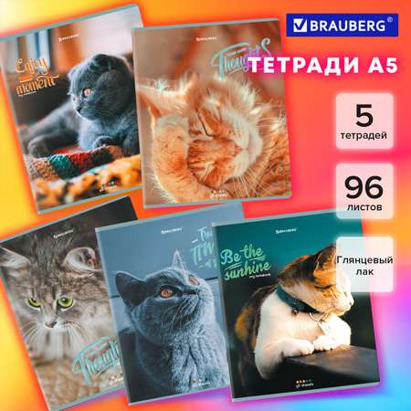 Общая тетрадь Brauberg клетка 96 лист. 5 шт.