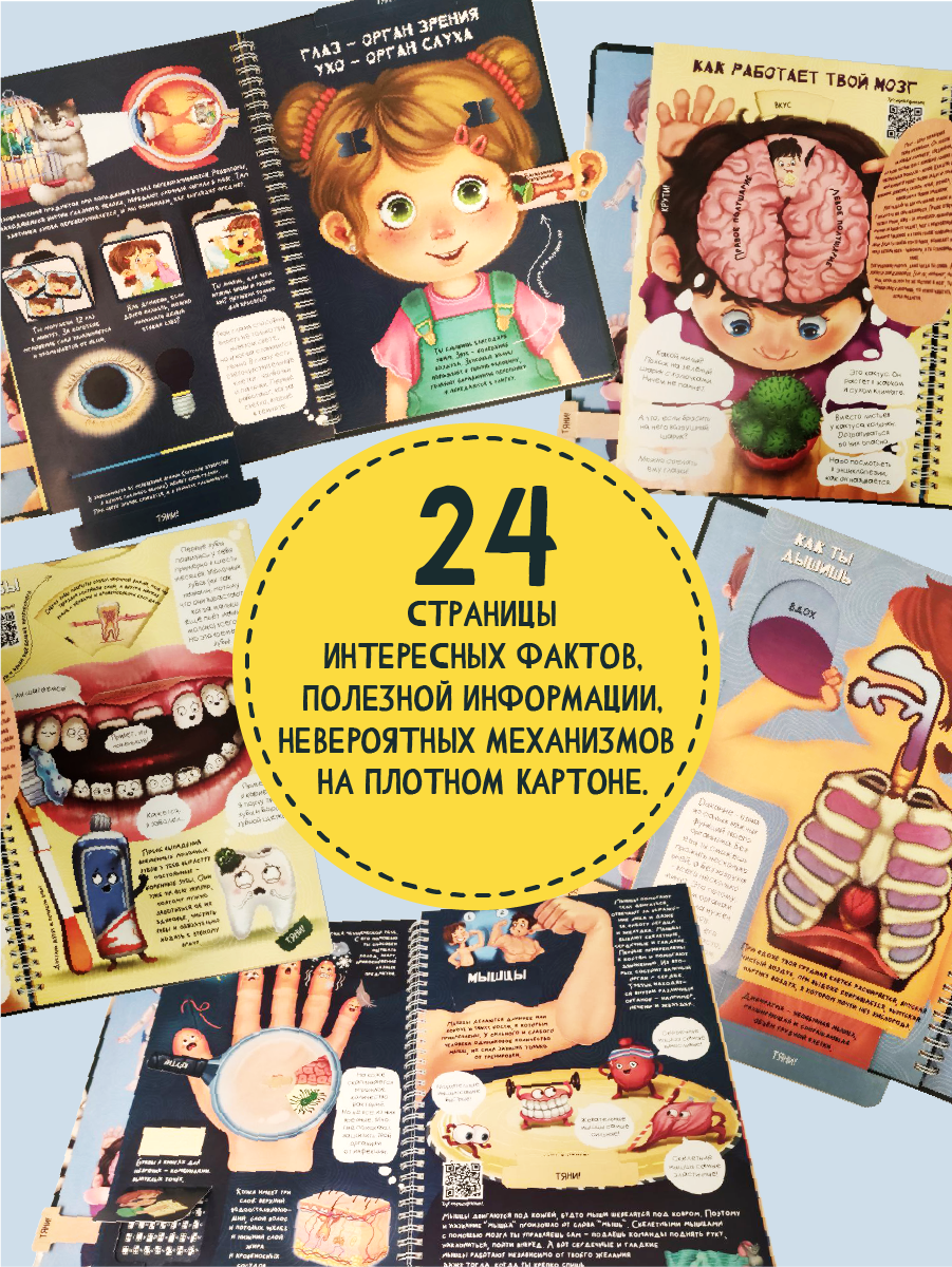 Интерактивная энциклопедия БимБиМон Знакомься твое тело - фото 5