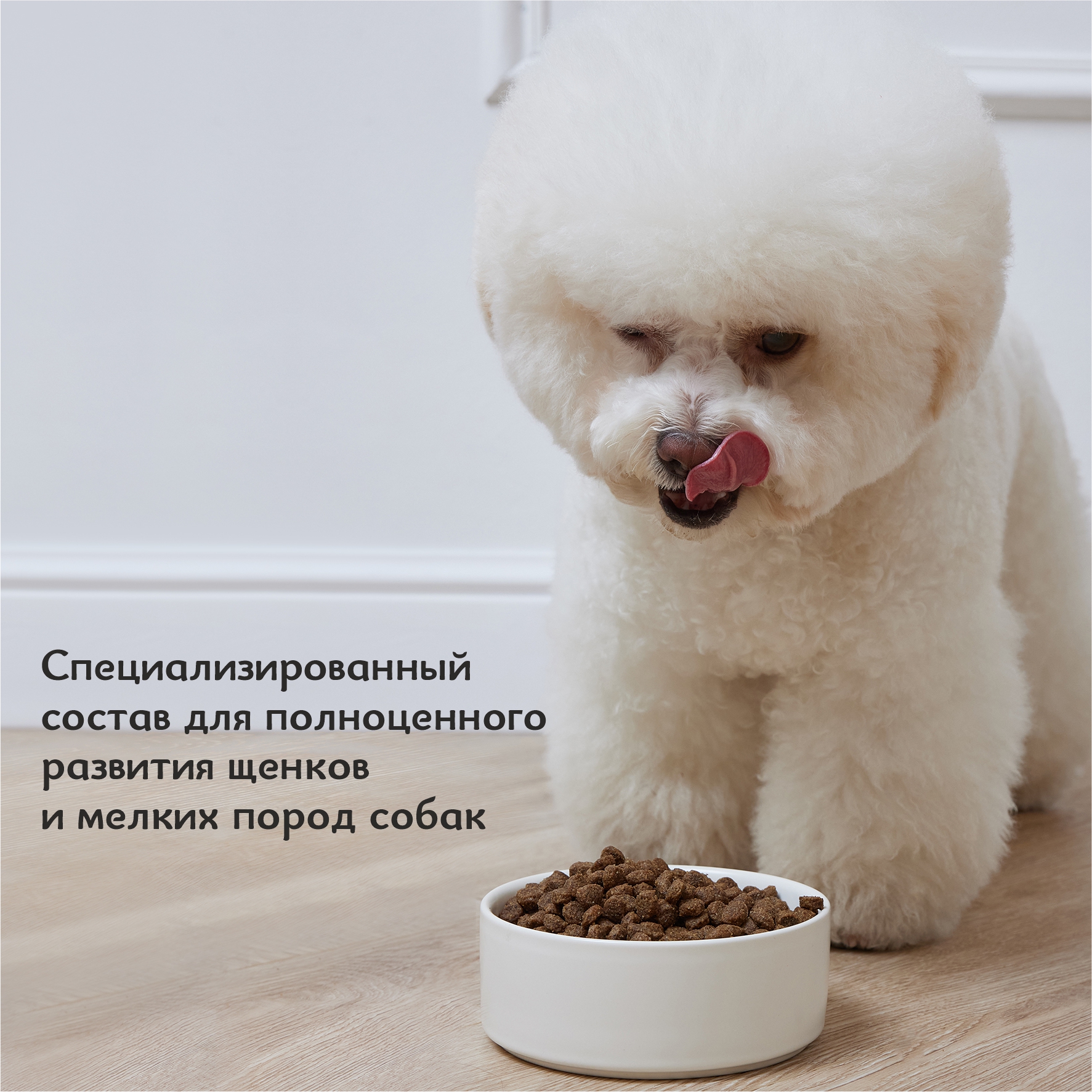 Корм для щенков Roybis сухой полнорационный для мелких пород с ягненком 0.8кг - фото 8