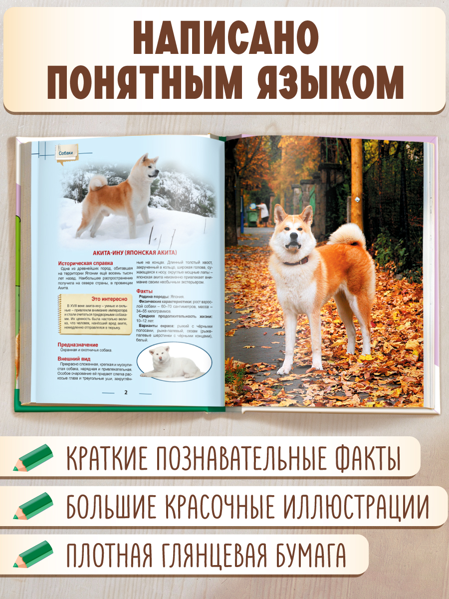 Книга Проф-Пресс Энциклопедия для детей. Собаки - фото 2