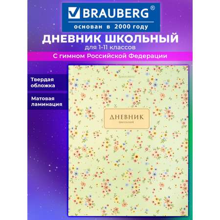 Дневник школьный Brauberg для девочек 1-11 класс твердая обложка 40 листов
