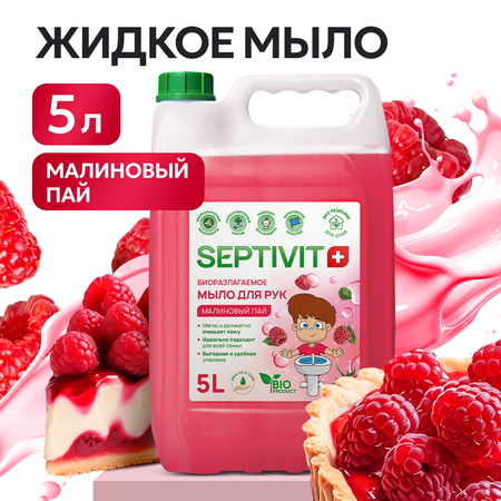 Мыло жидкое SEPTIVIT Малиновый Пай 5450 г 5000 мл