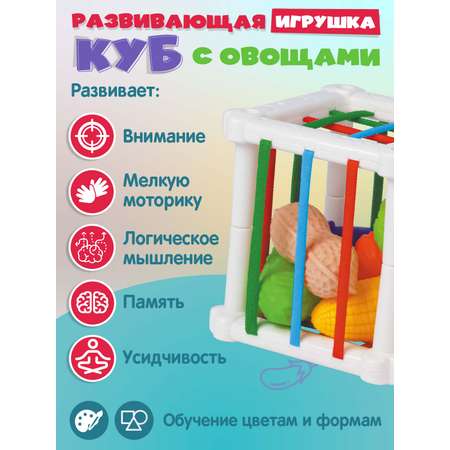 Игрушка Smart Baby сортер