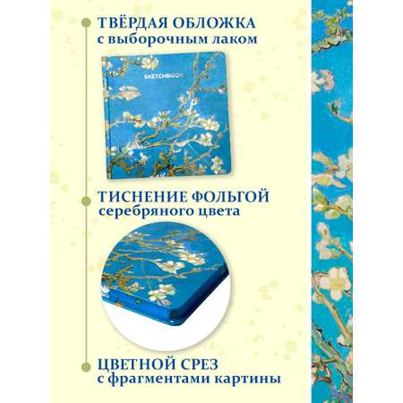 Скетчбук Проф-Пресс Ван Гог премиум. цветной обрез А5 64 лист. 1 шт.