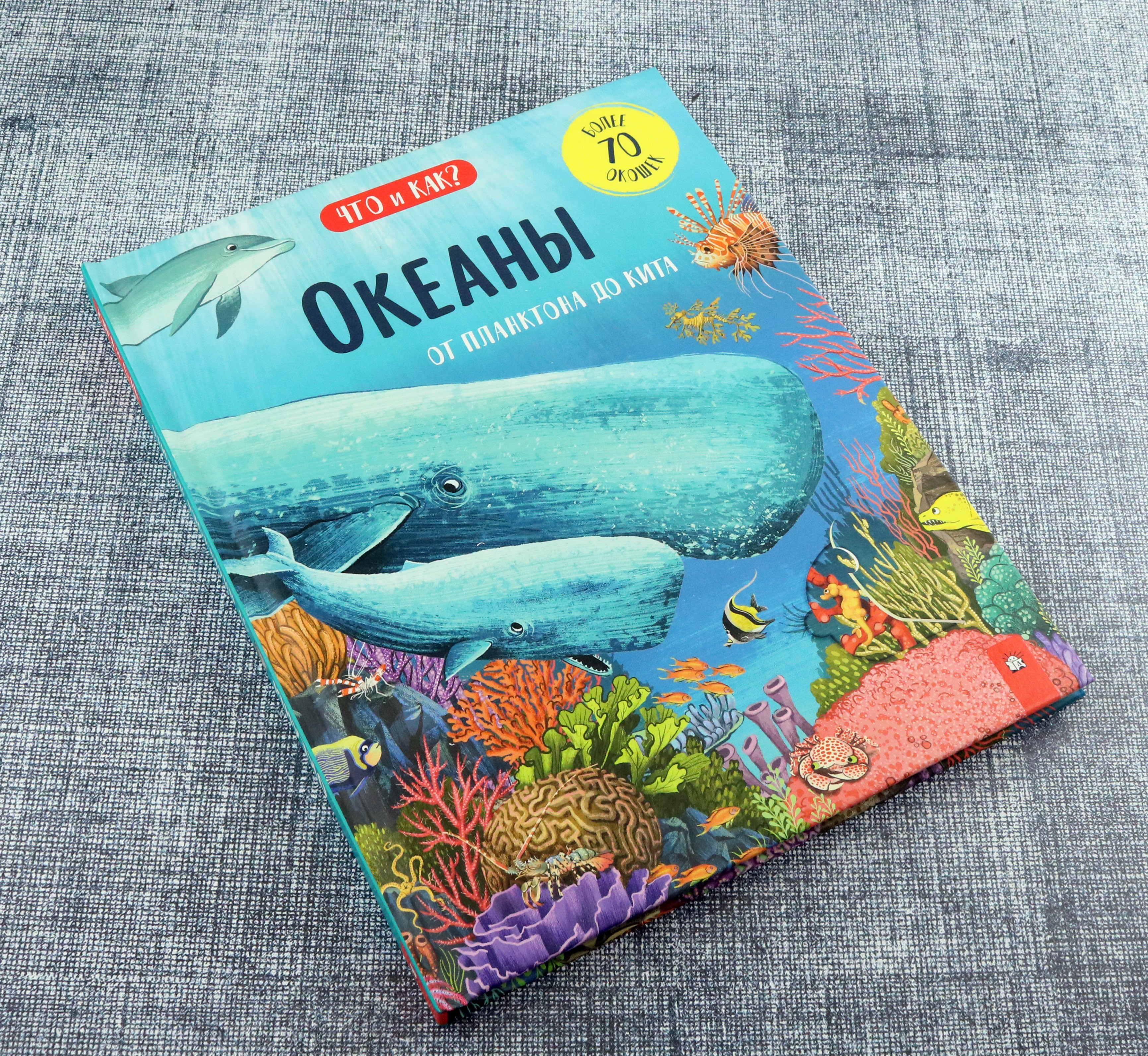 Книга Лабиринт Океаны От планктона до кита - фото 9