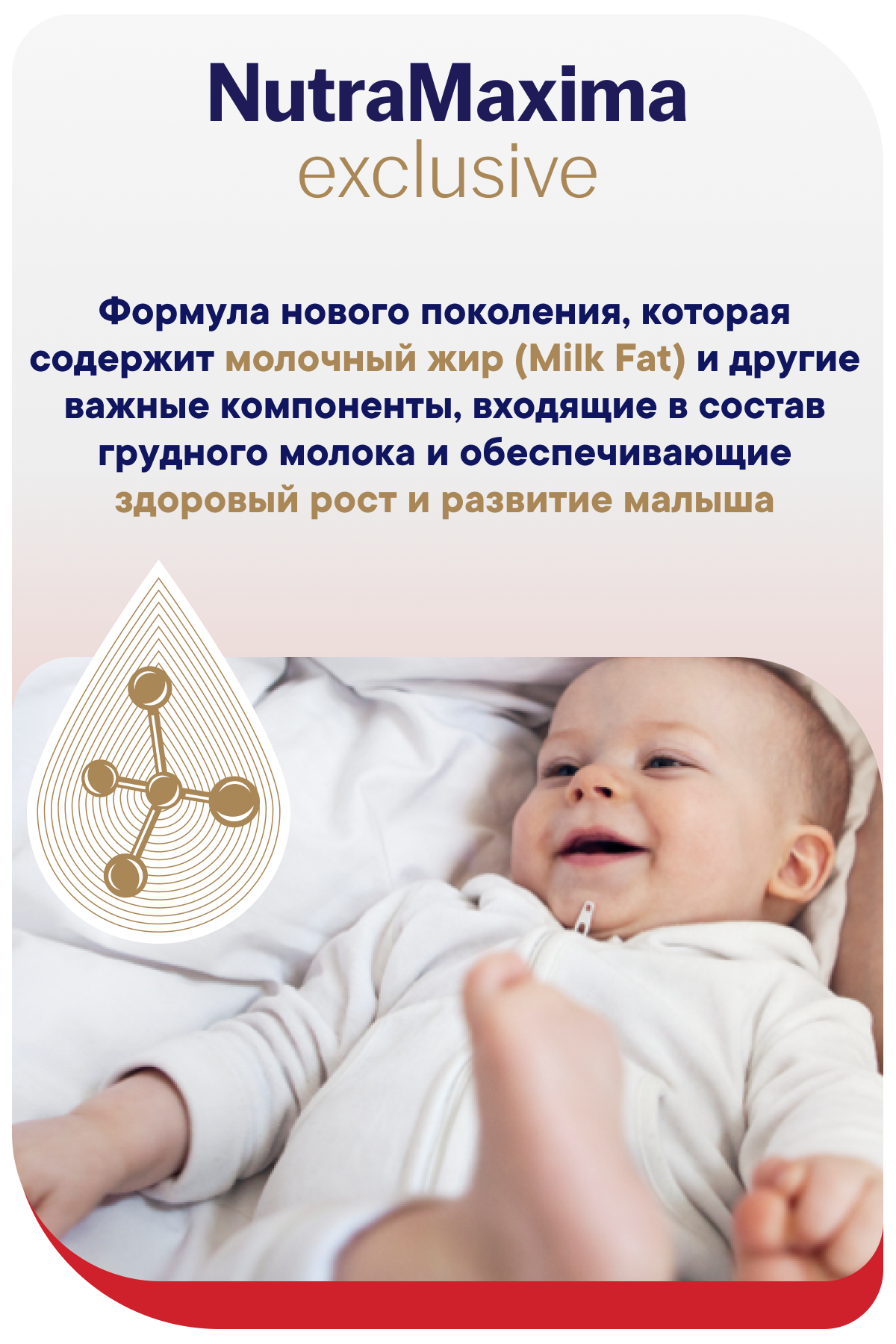 Смесь Semper NutraMaxima Exclusive 3 800г с 12 месяцев - фото 7