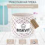 Трикотажная пряжа BISKVIT Имбирное печенье