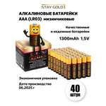 Батарейки ААА мизинчиковые алкалиновые Stay Gold набор 40 штук