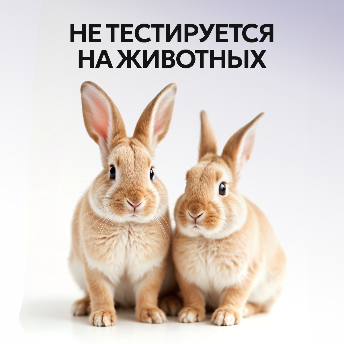 Гель NICE by Septivit For men 5000 мл - фото 9