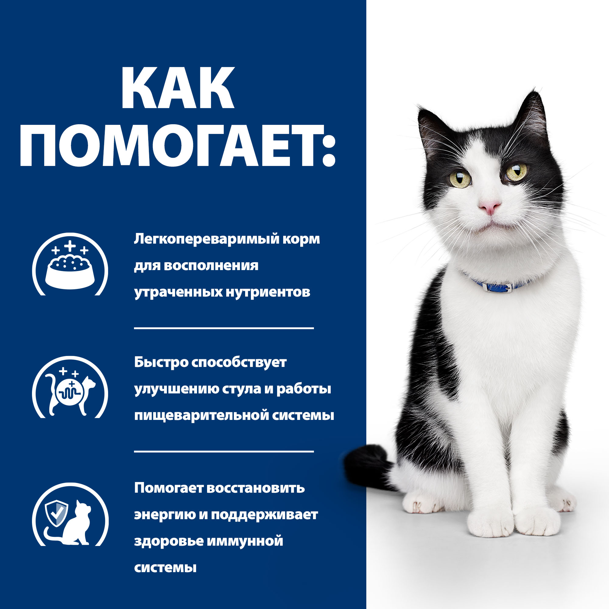 Корм для кошек HILLS 85г Prescription Diet i/d Digestive Care диетический при расстройствах пищеварения ЖКТ с лососем - фото 4