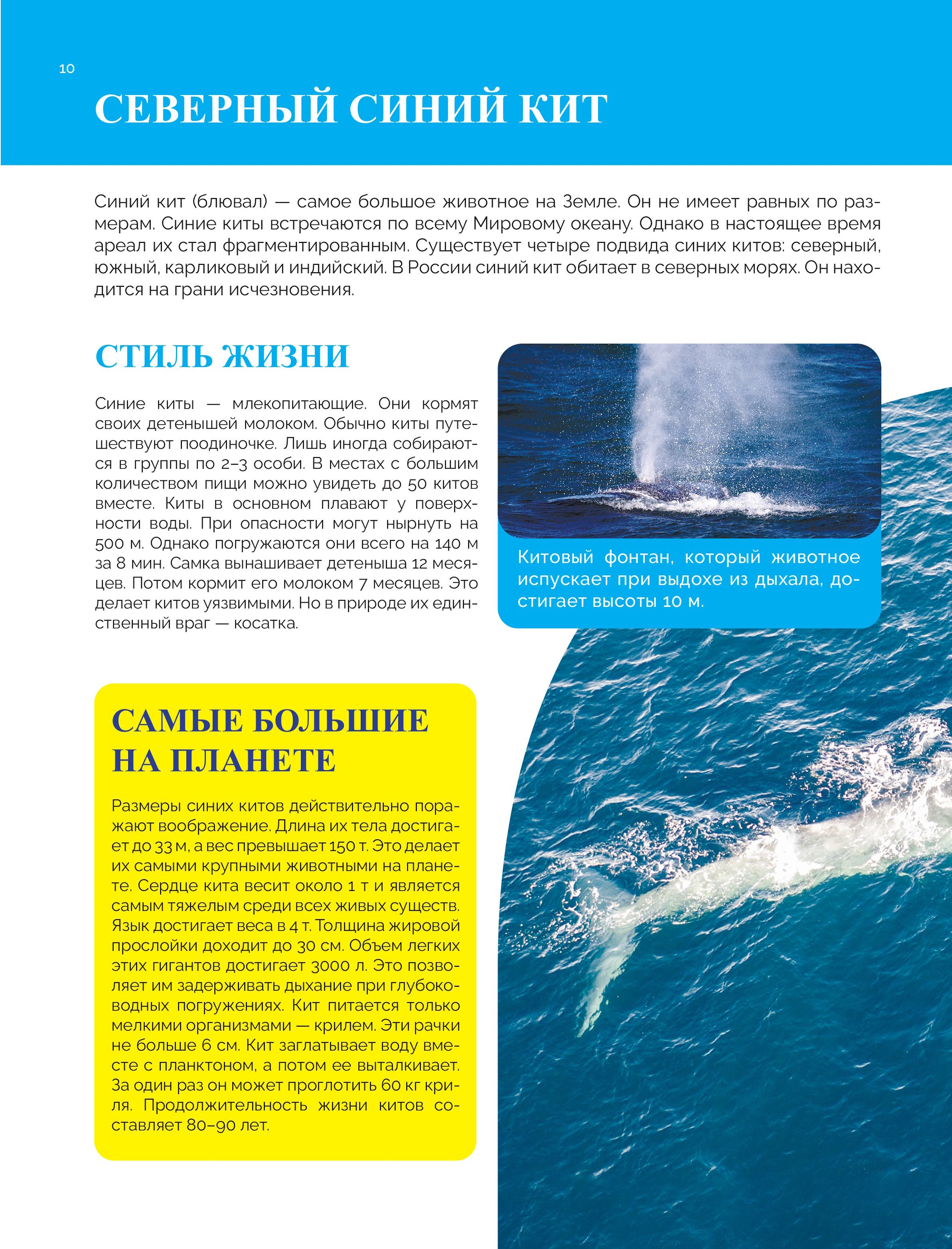 Книга Эксмо Красная книга России Большая - фото 8