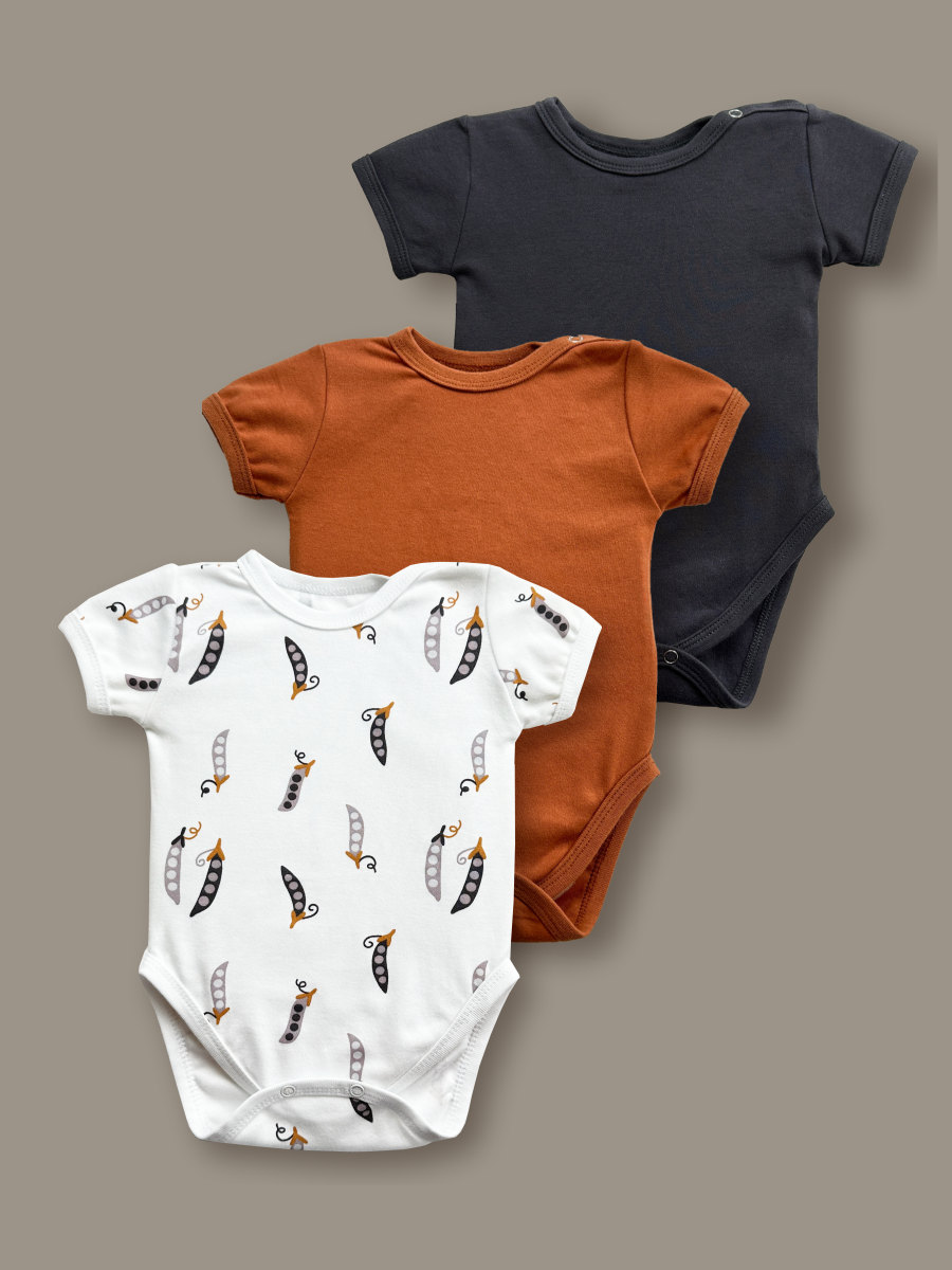 Боди 3 шт ШВЕЙНЫЕ ИСТОРИИ бодигорох_кор - фото 1