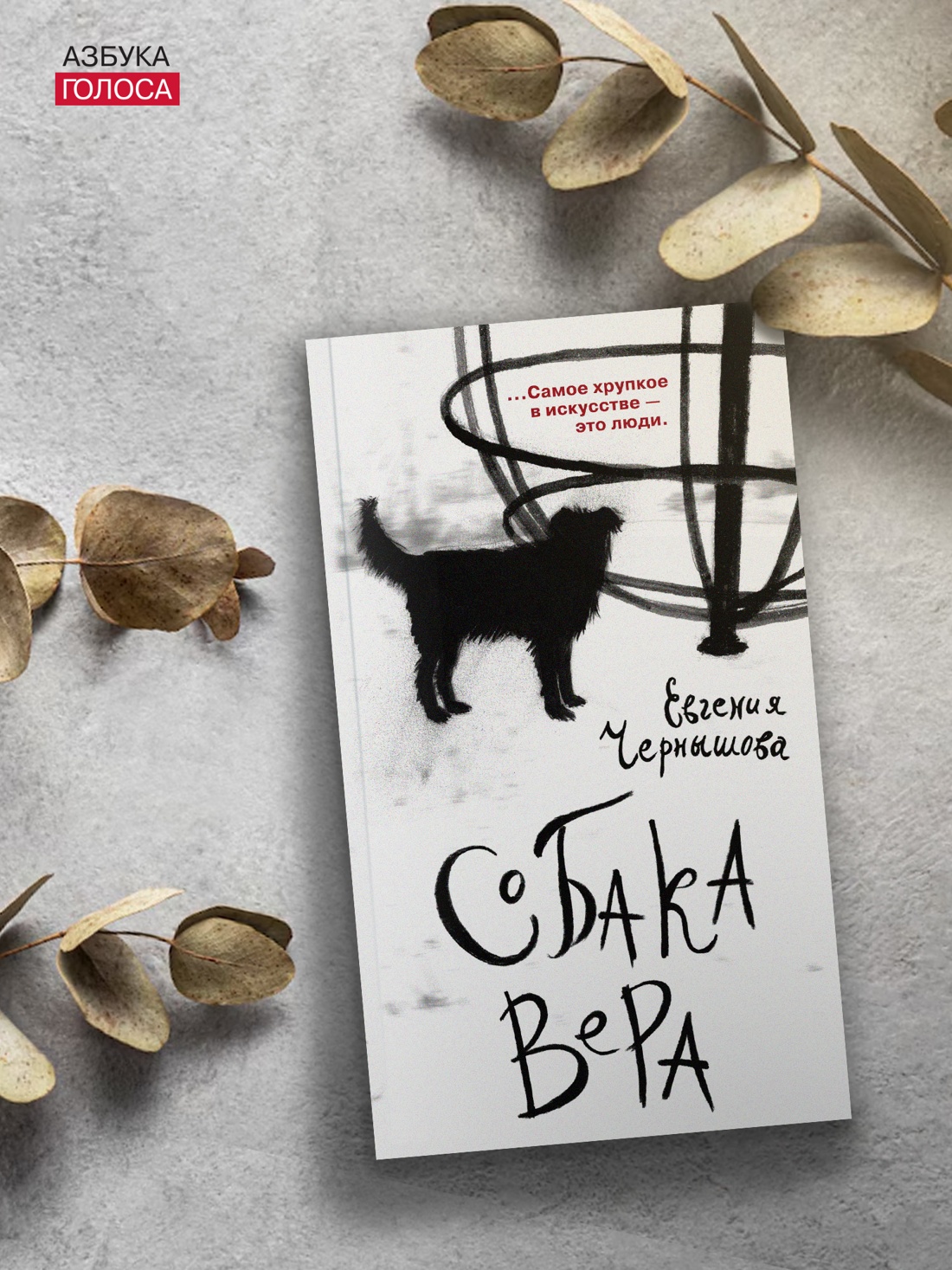 Книга АЗБУКА Азбука Голоса Чернышова Е Собака Вера - фото 7