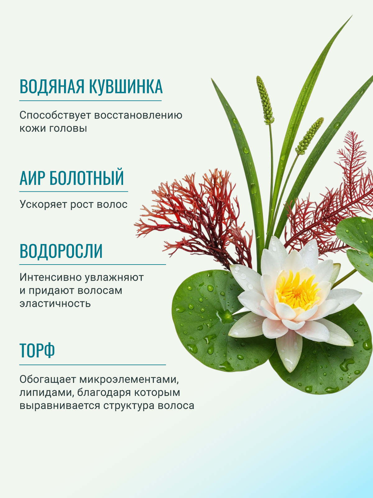 Шампунь ESTEL KIKIMORA для волос 1000 мл 1 шт. - фото 3