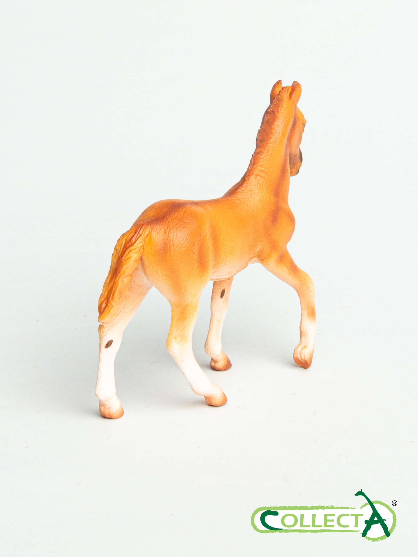 Фигурка Collecta Жеребёнок Перуанский Пасо - фото 8