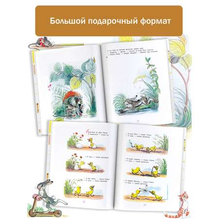 Книга АСТ Сказки в картинках