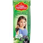 Сок Сады Придонья Яблоко-черная смородина с 5 мес 0.2 л