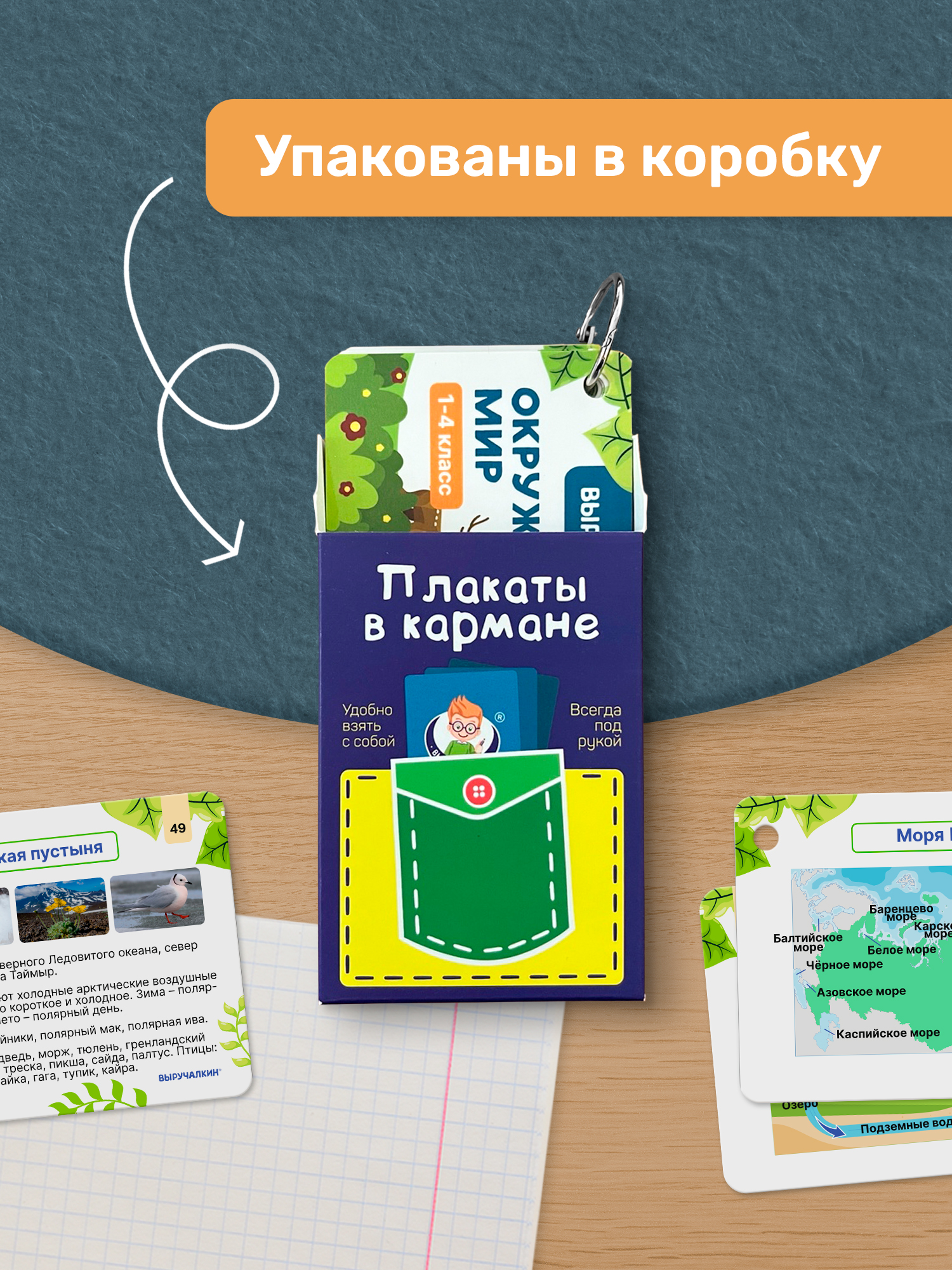Карточки Выручалкин Окружающий мир 1-4 класс - фото 4