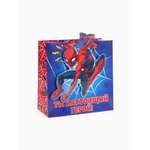 Пакет подарочный Marvel Супергерой 22 × 22 × 10 см