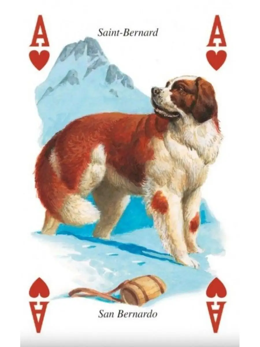 Настольная игра Lo Scarabeo Alice Playing Cards - фото 3