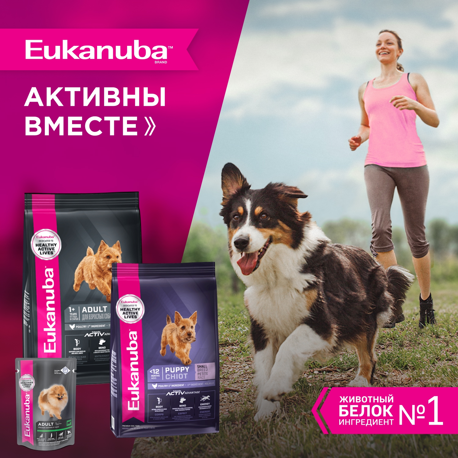 Корм Eukanuba Dog 3кг для взрослых собак мелких пород сухой - фото 9