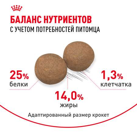 Корм для собак ROYAL CANIN средних пород 3кг