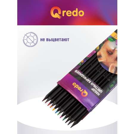 Карандаши цветные Qredo 12 шт.