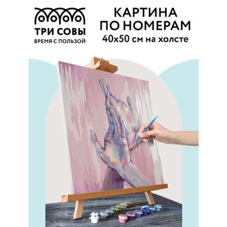 Картина по номерам ТРИ СОВЫ Прикосновения