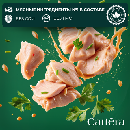 Корм сухой для кошек Cattera полнорационный с курицей 0,7 кг