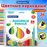 Карандаши акварельные Brauberg 24 шт.