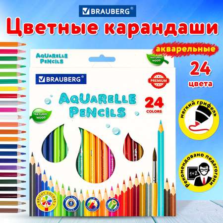 Карандаши акварельные Brauberg 24 шт.