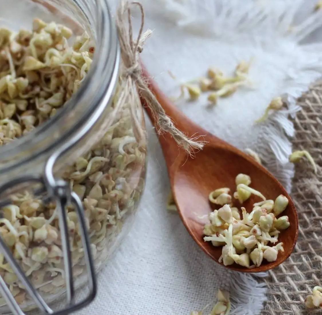 Семена для микрозелени Никольские ПроРостки гречка зеленая - фото 3