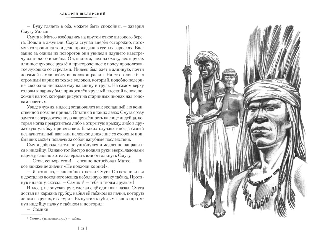 Книга АЗБУКА Томек у истоков Амазонки и другие удивительные приключения - фото 19