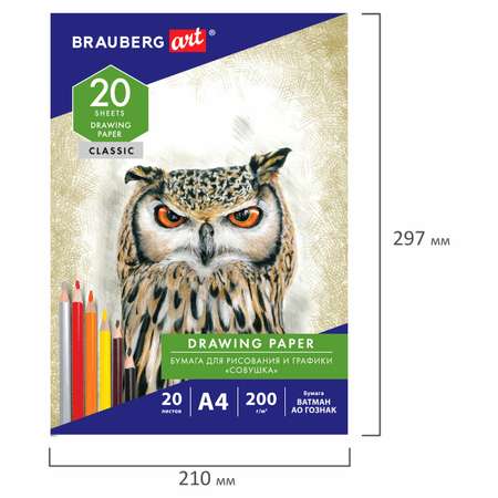 Художественная бумага Brauberg для графики 20 лист.