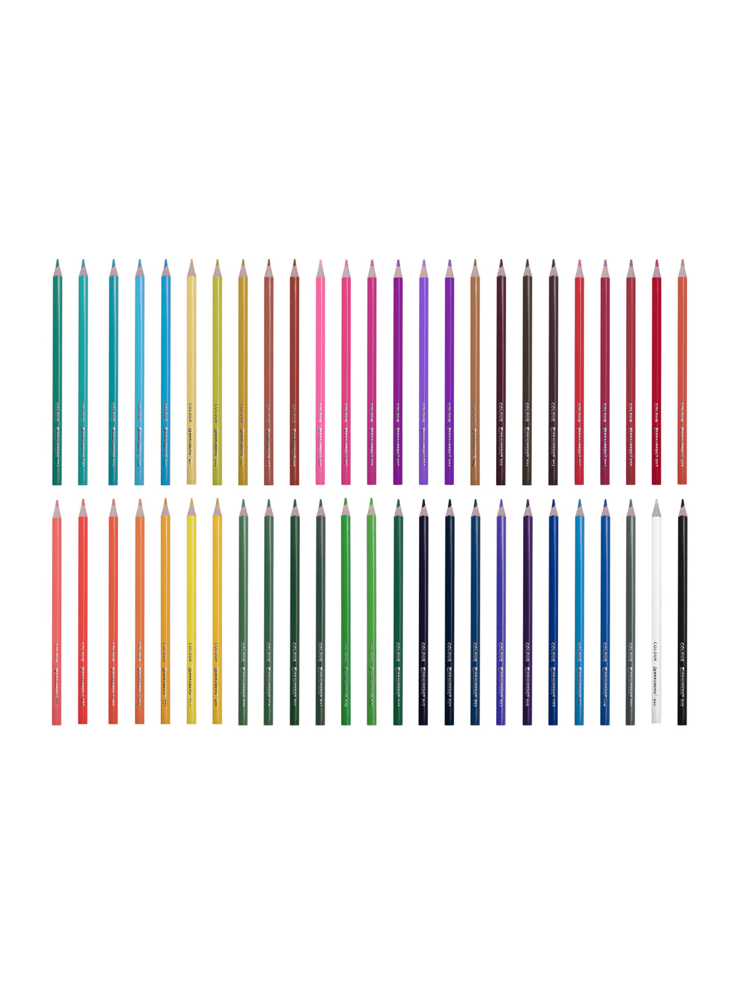 Карандаши цветные Brauberg 50 шт. - фото 9