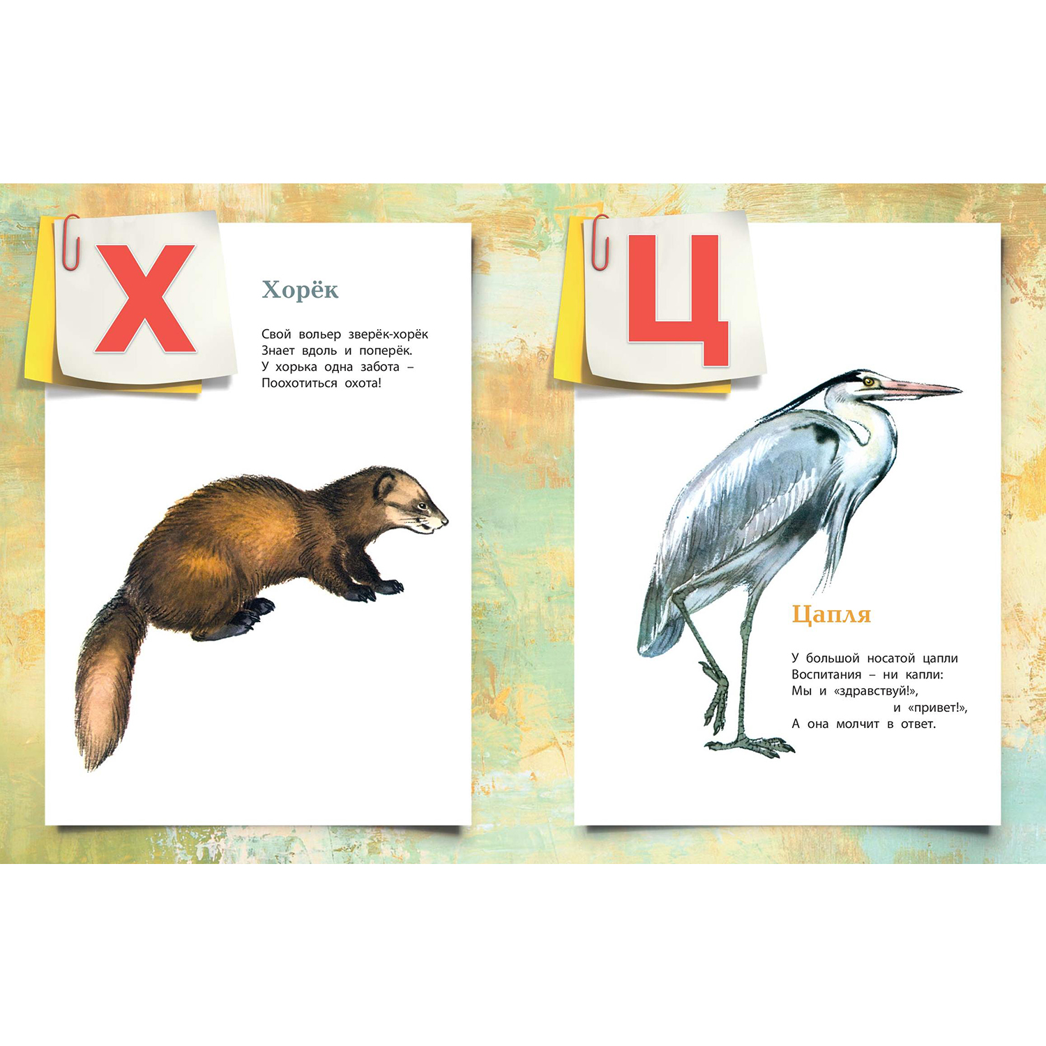 Книга ЭНАС-книга Азбука в картинках - фото 4